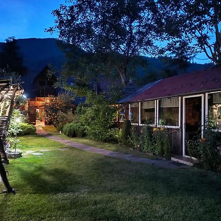 Casa De Vacanta Vidrighin Rau Sadului Esterno foto