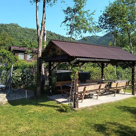 Casa De Vacanta Vidrighin Rau Sadului Esterno foto