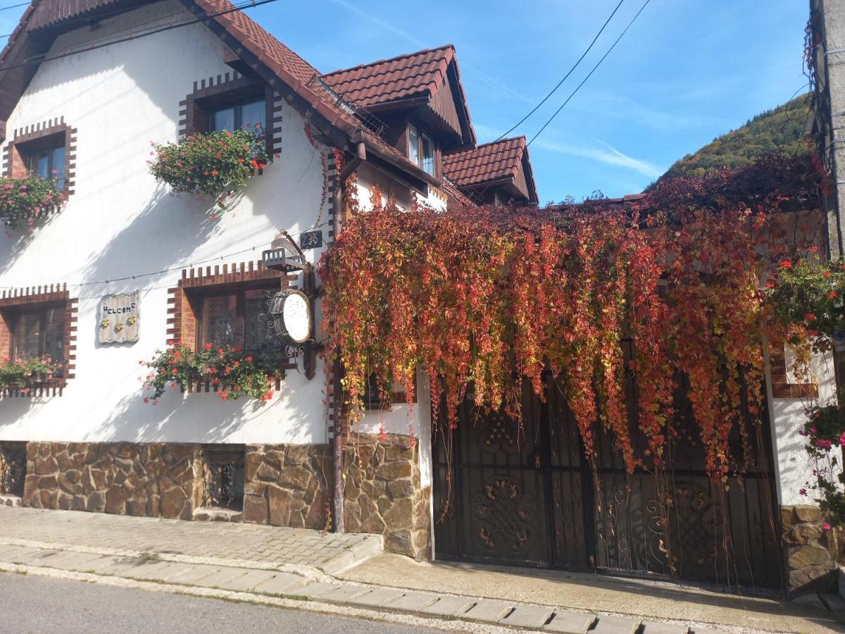Casa De Vacanta Vidrighin Rau Sadului Esterno foto