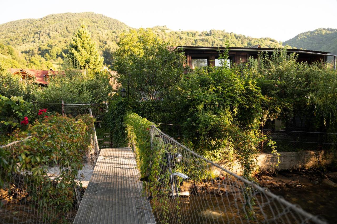 Casa De Vacanta Vidrighin Rau Sadului Esterno foto