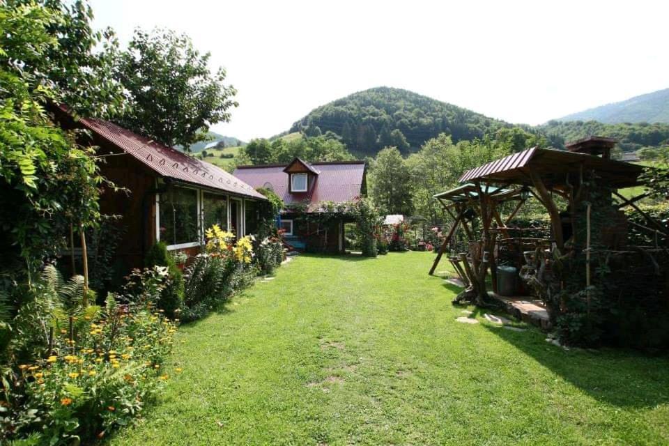 Casa De Vacanta Vidrighin Rau Sadului Esterno foto