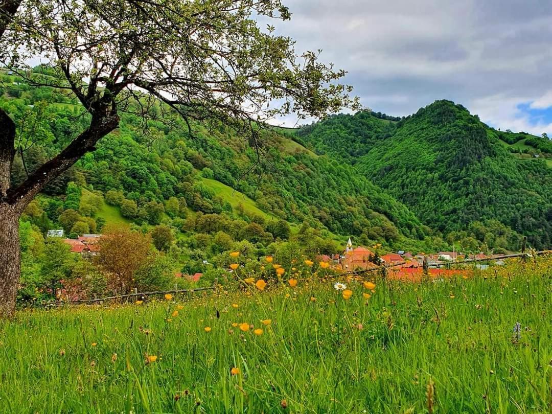 Casa De Vacanta Vidrighin Rau Sadului Esterno foto