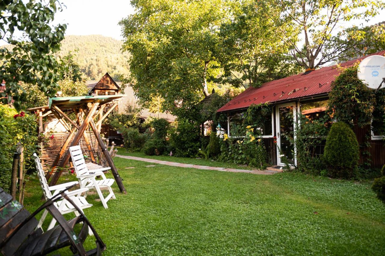 Casa De Vacanta Vidrighin Rau Sadului Esterno foto