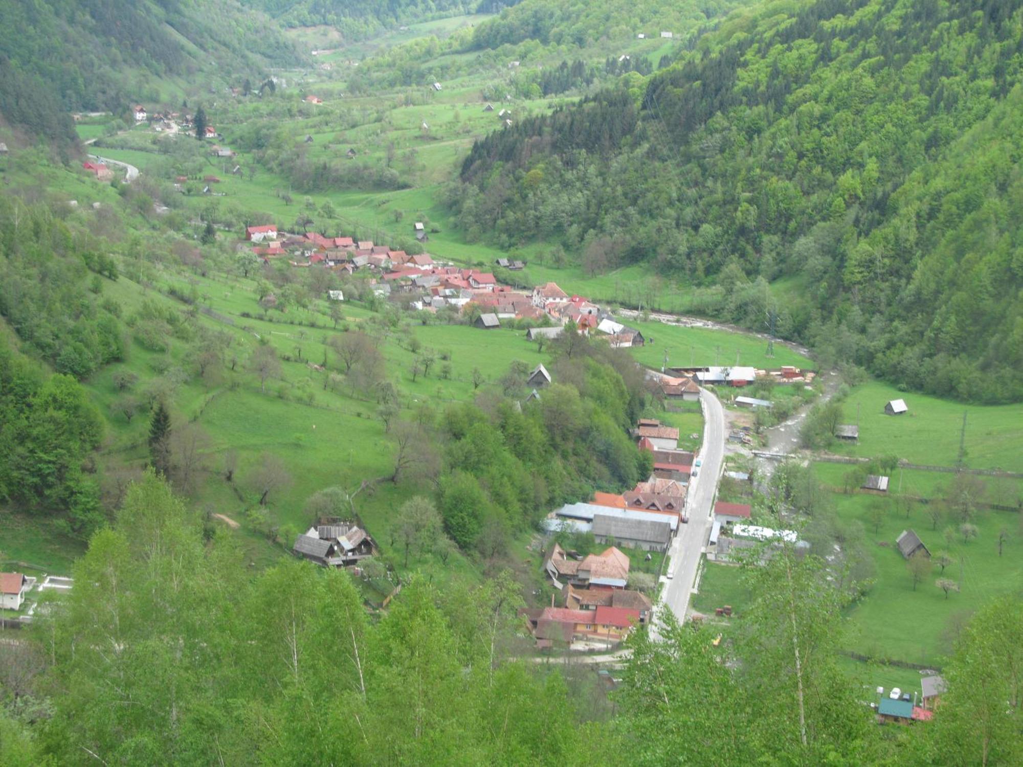 Casa De Vacanta Vidrighin Rau Sadului Esterno foto