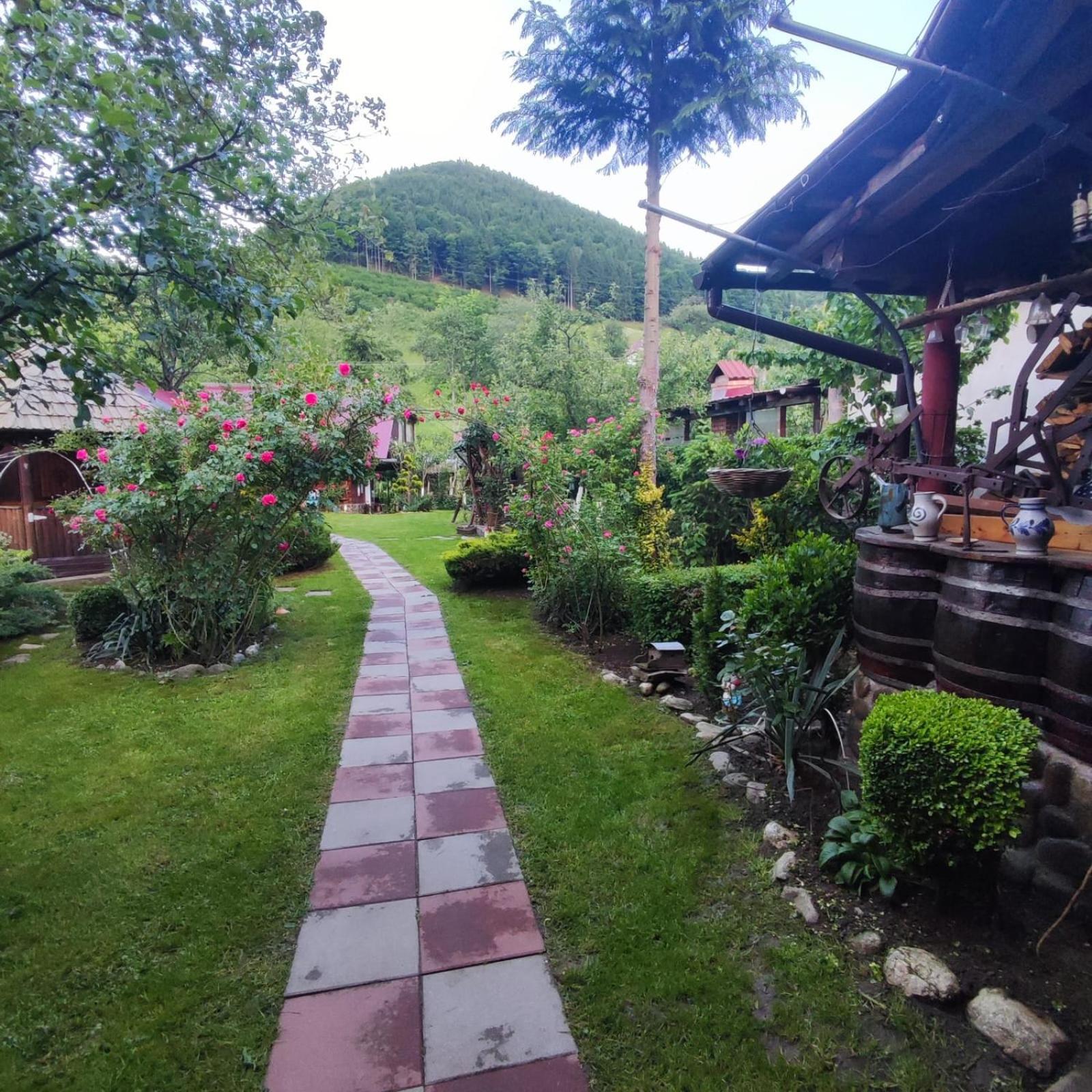 Casa De Vacanta Vidrighin Rau Sadului Camera foto
