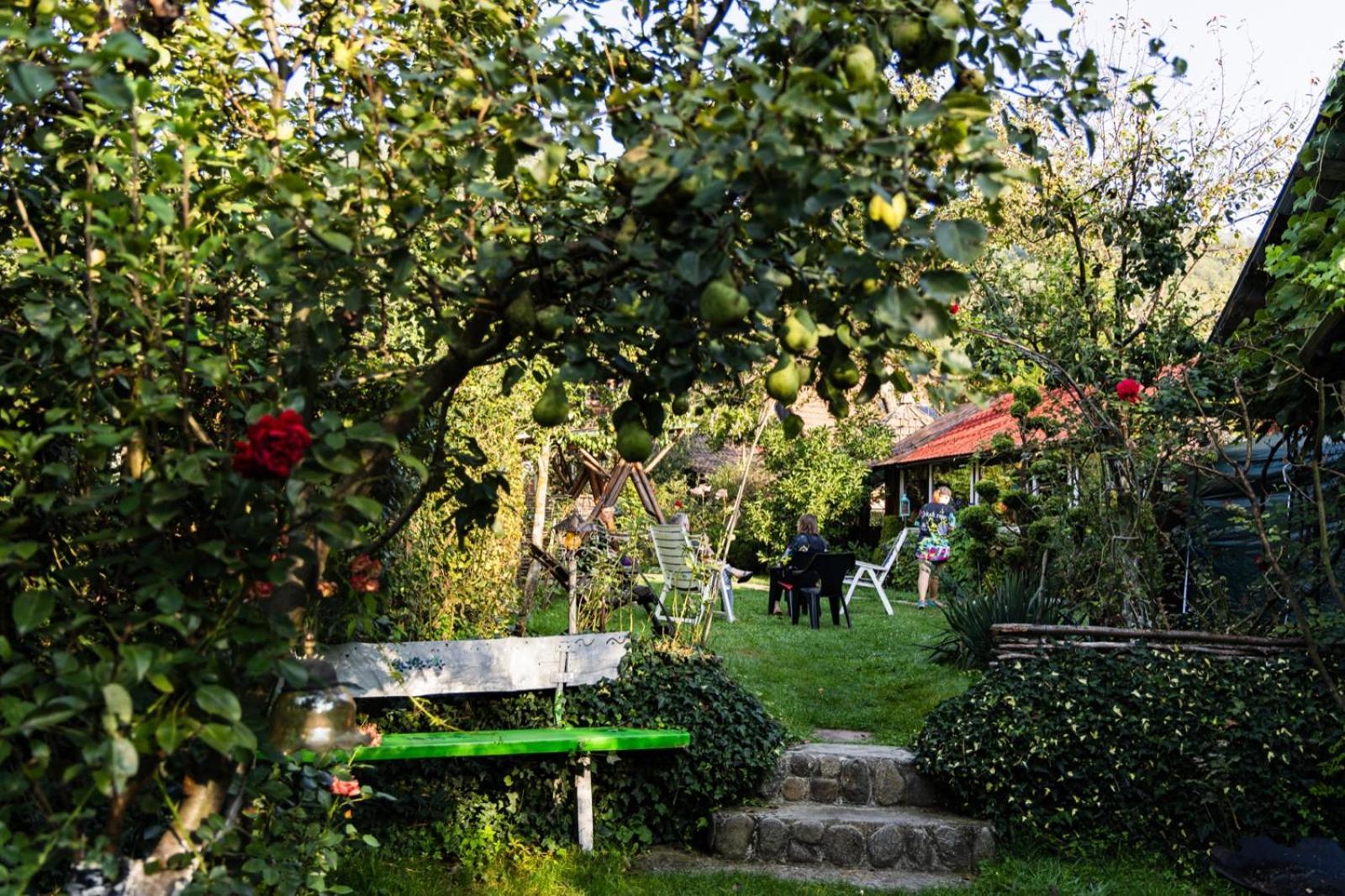 Casa De Vacanta Vidrighin Rau Sadului Camera foto