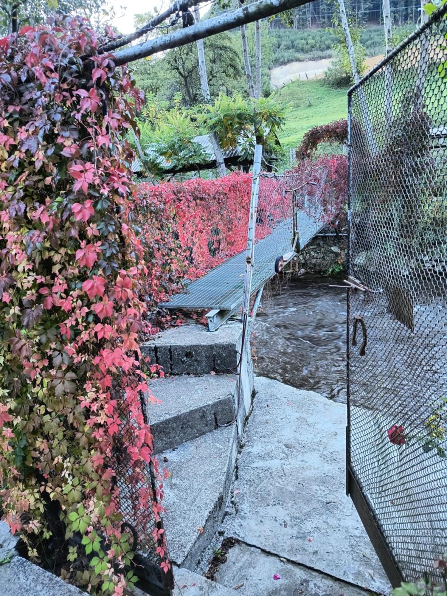 Casa De Vacanta Vidrighin Rau Sadului Camera foto