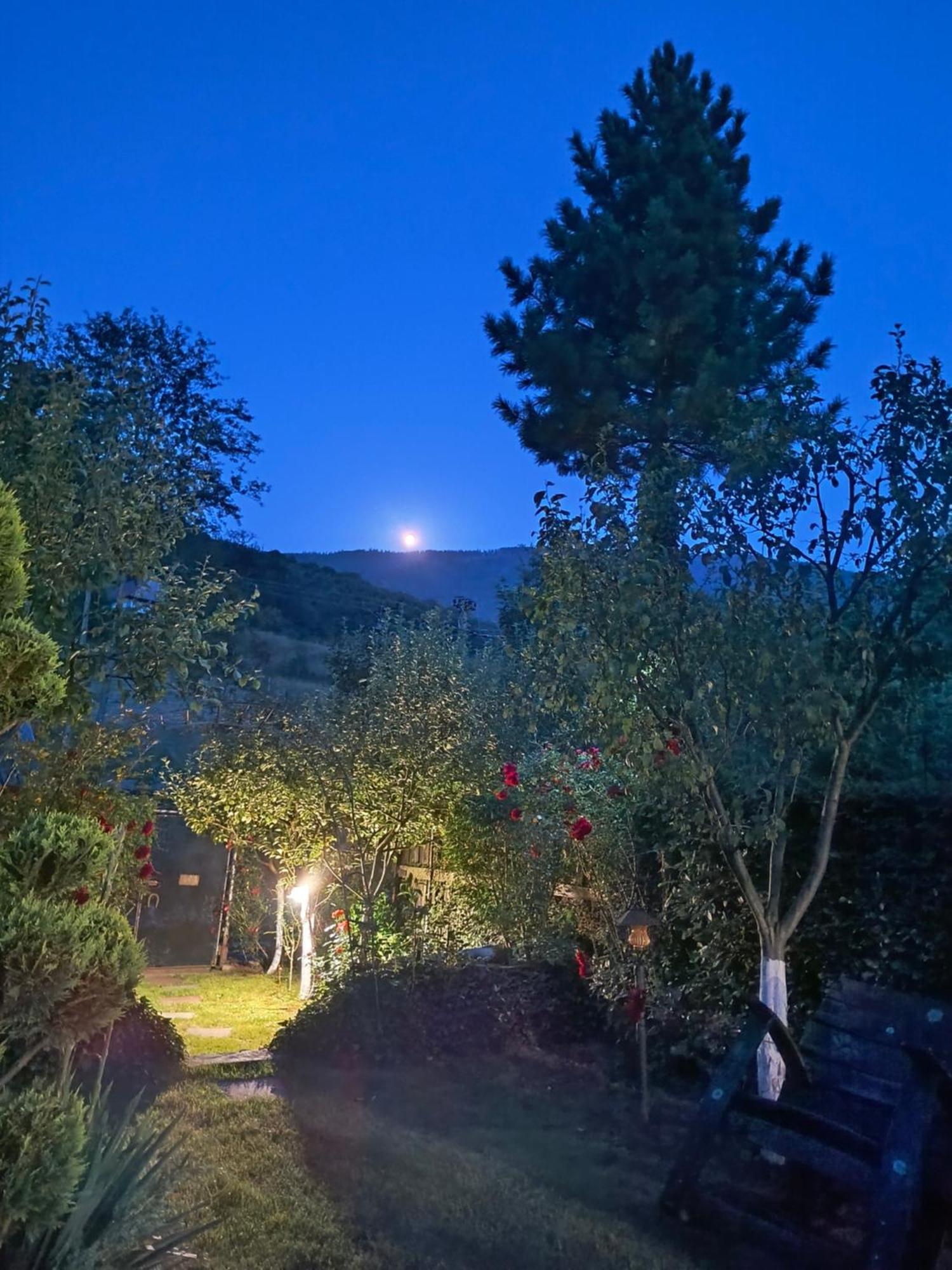 Casa De Vacanta Vidrighin Rau Sadului Esterno foto
