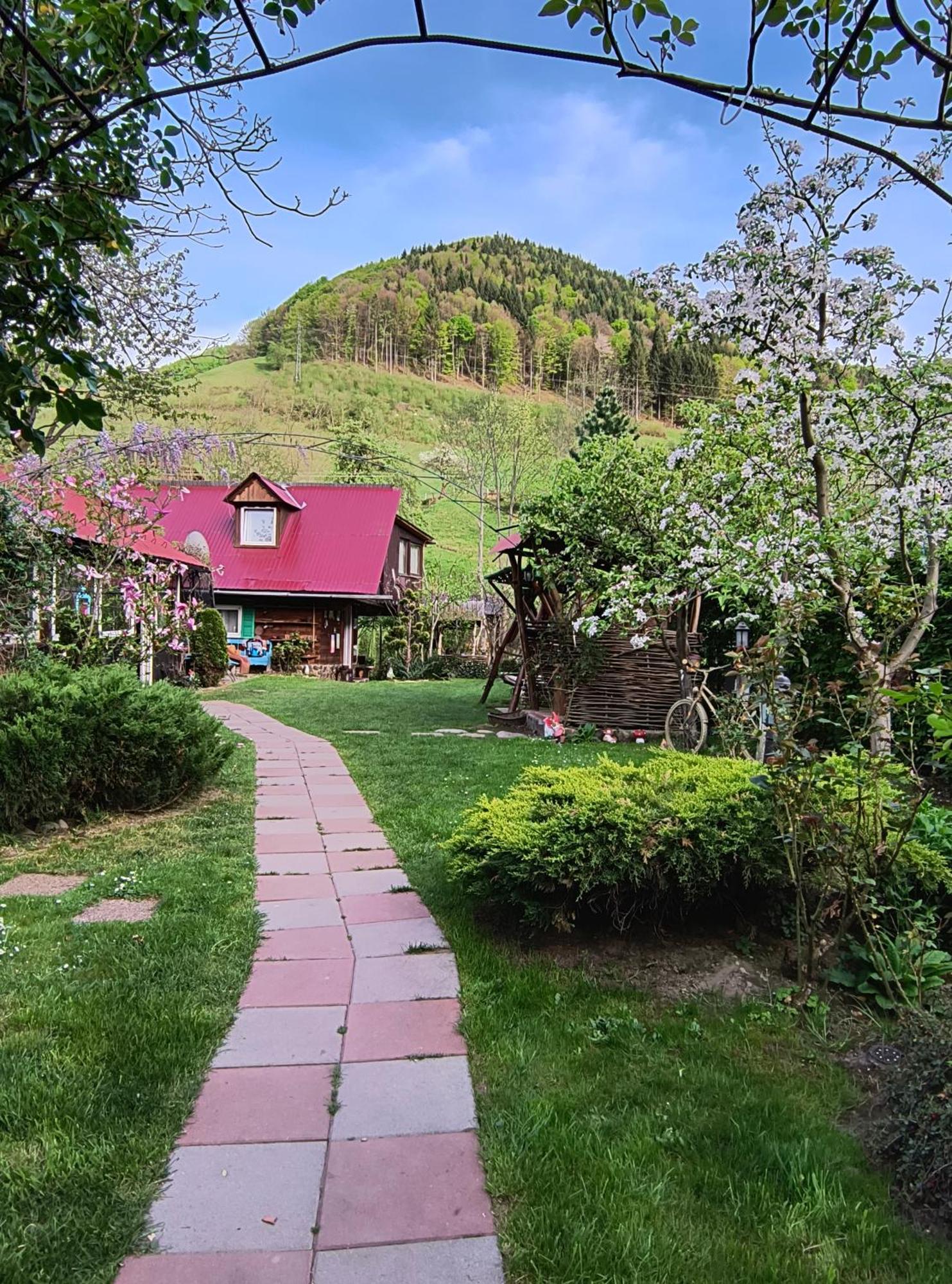Casa De Vacanta Vidrighin Rau Sadului Esterno foto