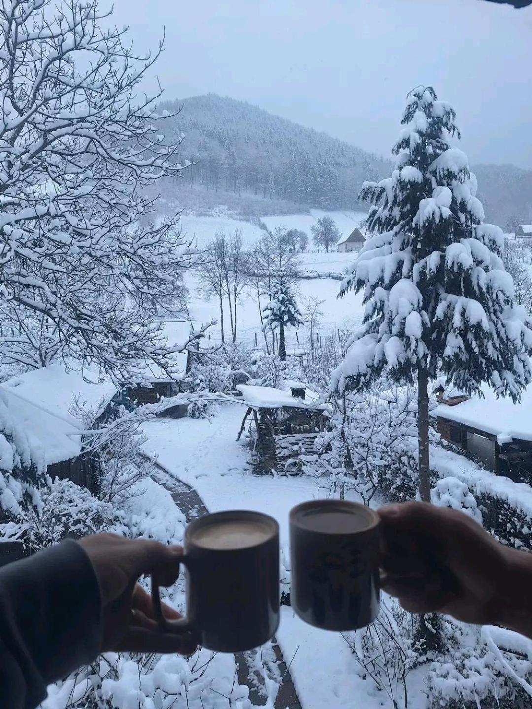 Casa De Vacanta Vidrighin Rau Sadului Esterno foto
