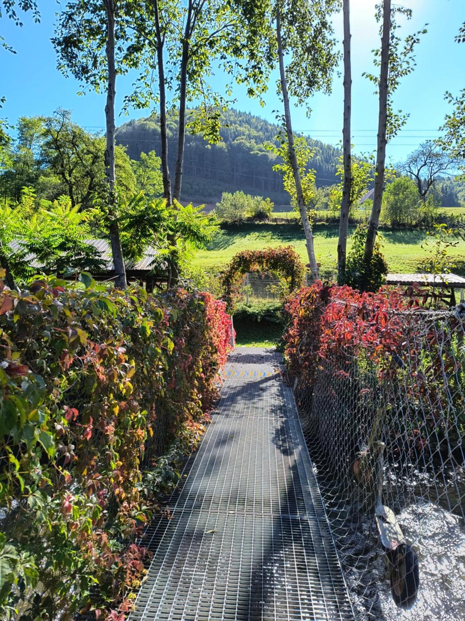 Casa De Vacanta Vidrighin Rau Sadului Esterno foto