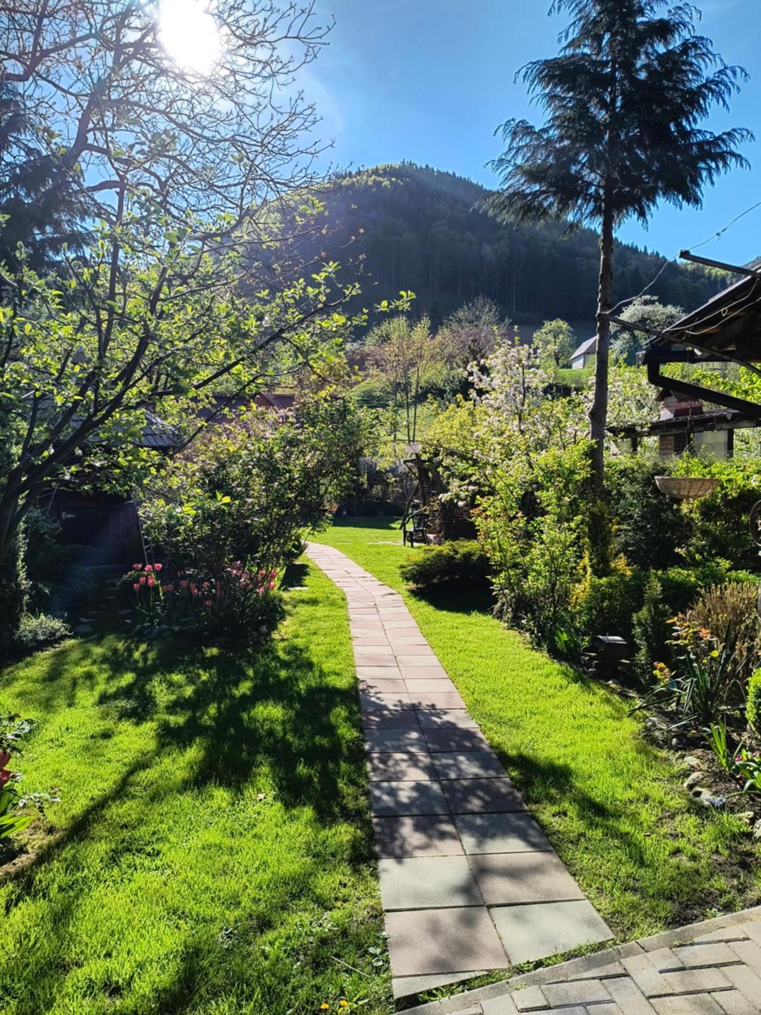 Casa De Vacanta Vidrighin Rau Sadului Esterno foto