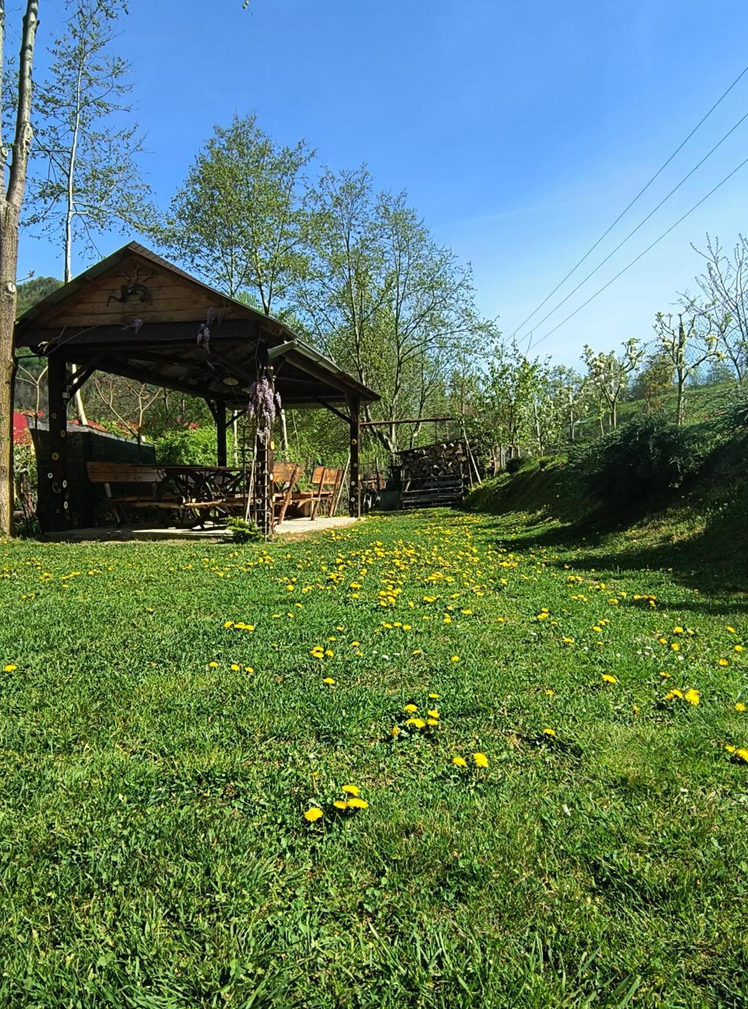 Casa De Vacanta Vidrighin Rau Sadului Esterno foto