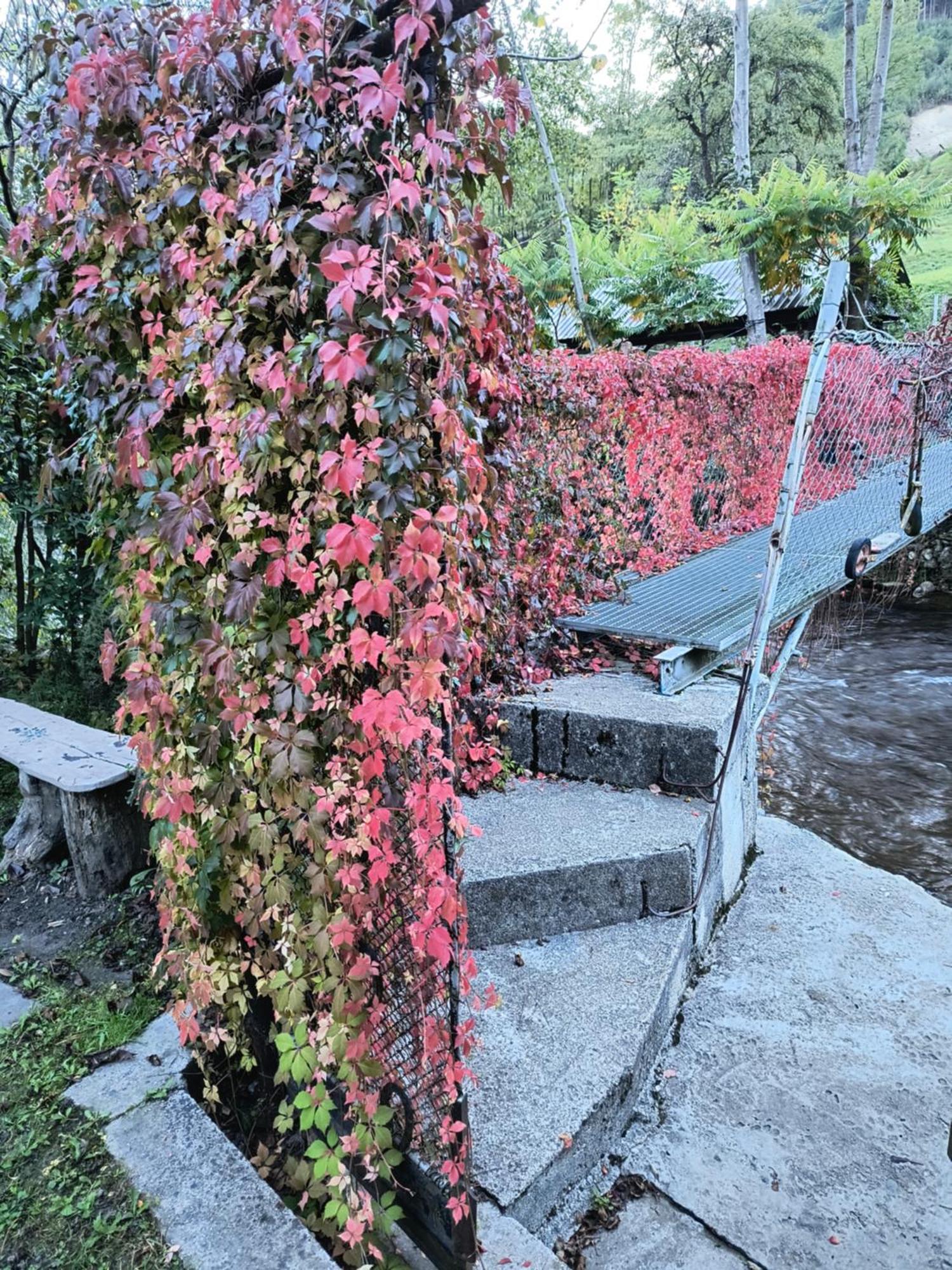 Casa De Vacanta Vidrighin Rau Sadului Esterno foto